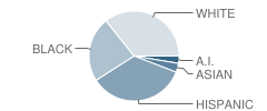 Life Skills Center of Colorado Springs School Student Race Distribution