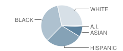 Omar D Blair Charter School Student Race Distribution