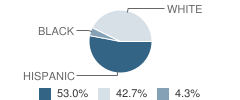 Melvin Hendrickson Development Center School Student Race Distribution