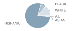 Kearney Middle School Student Race Distribution