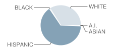 Polston Elementary School Student Race Distribution