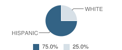 Alamosa Open School Student Race Distribution