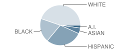 William Smith High School Student Race Distribution