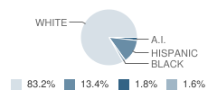 Branson Alternative School Student Race Distribution