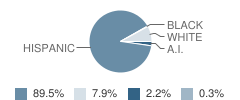 Haskin Elementary School Student Race Distribution