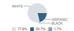 Cheraw High School Student Race Distribution