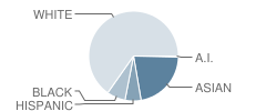 Challenge School Student Race Distribution