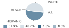 Underwood Elementary School Student Race Distribution