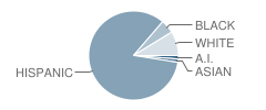 Lake Middle School Student Race Distribution