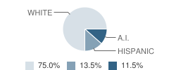 Teddy Bear Preschool Student Race Distribution