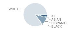 South Park High School Student Race Distribution