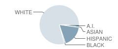 Eyestone Elementary School Student Race Distribution