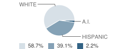 Lincoln High School Student Race Distribution