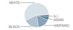 Mountainside Elementary School Student Race Distribution