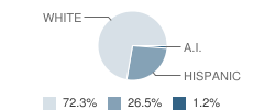 Bridges School Student Race Distribution