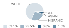 Hawthorne Building School Student Race Distribution