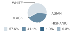 Holyoke Elementary School Student Race Distribution