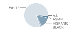 Bell Middle School Student Race Distribution