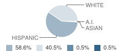 Lincoln Elementary School Student Race Distribution