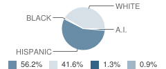 Parkview Elementary School Student Race Distribution
