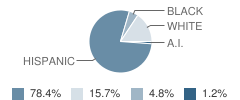 Bessemer Elementary School Student Race Distribution