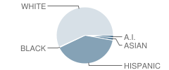 South Mesa Elementary School Student Race Distribution