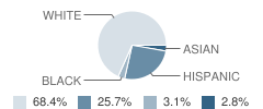 Sierra Vista Elementary School Student Race Distribution