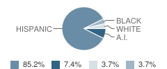 Centennial Junior High School Student Race Distribution