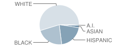 James Madison Charter Academy School Student Race Distribution