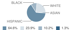 Cesar Chavez Academy - North Student Race Distribution