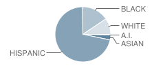 Jamaica Child Development Center School Student Race Distribution