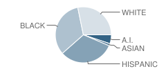 Marvin W Foote Youth Services School Student Race Distribution