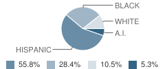 Justice High School Denver Student Race Distribution