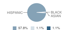 New America Charter School Student Race Distribution