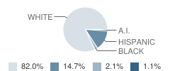 Rice Elementary School Student Race Distribution