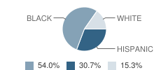 Manson Youth Institution School Student Race Distribution