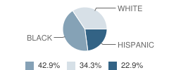 Connecticut Children's Place School Student Race Distribution