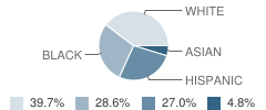 Riverview Hospital School Student Race Distribution