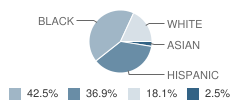 Common Ground High School Student Race Distribution