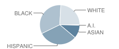 Side by Side Community School Student Race Distribution