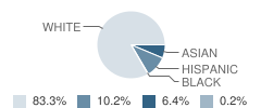 Riverside School Student Race Distribution