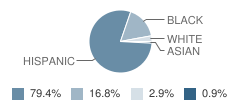 Dr. Ramon E. Betances School Student Race Distribution