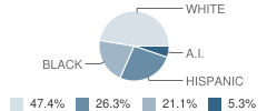 Hickory Street School Student Race Distribution