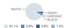 Scotland Elementary School Student Race Distribution