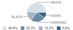 Newfield School Student Race Distribution