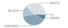 Stillmeadow School Student Race Distribution