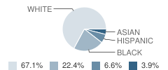 Developmental Learning Center (Dlc) School Student Race Distribution