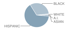 Hphs Freshmen Academy Student Race Distribution