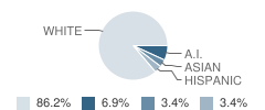 Town Campus Learning Center School Student Race Distribution