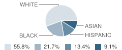 Dupont (H.b.) Middle School Student Race Distribution